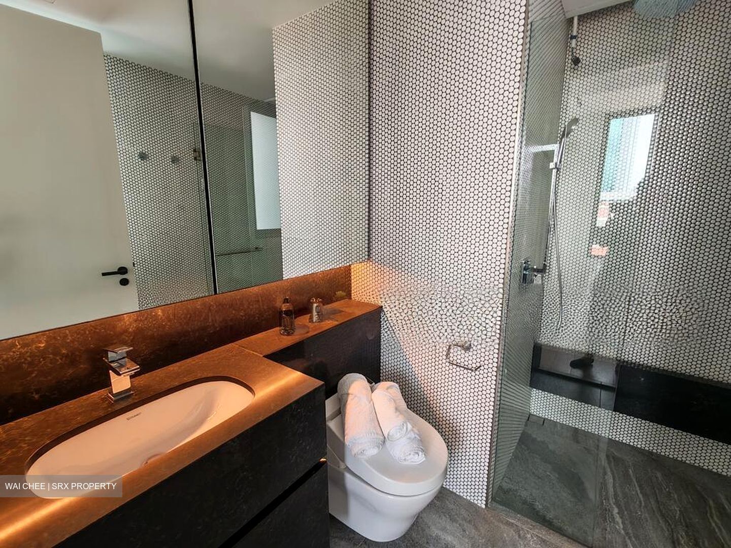 10 Evelyn (D11), Apartment #520504831